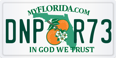 FL license plate DNPR73