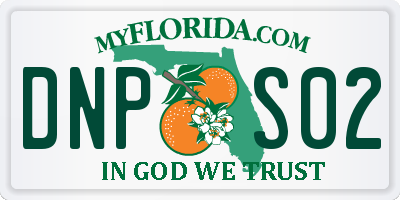 FL license plate DNPS02