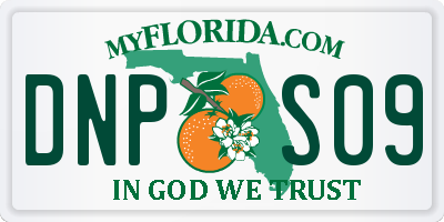 FL license plate DNPS09