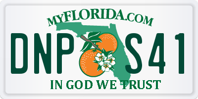 FL license plate DNPS41