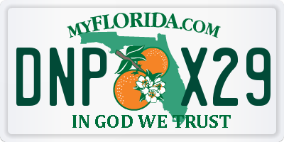 FL license plate DNPX29