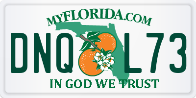 FL license plate DNQL73