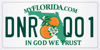 FL license plate DNRQ01