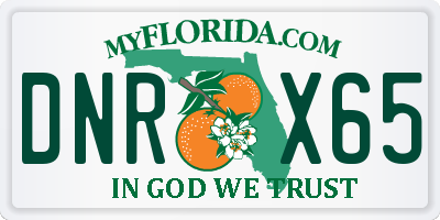 FL license plate DNRX65