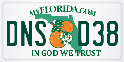 FL license plate DNSD38
