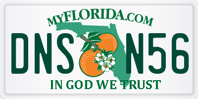 FL license plate DNSN56
