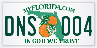 FL license plate DNSO04