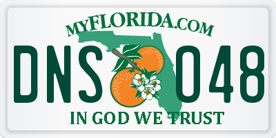 FL license plate DNSO48
