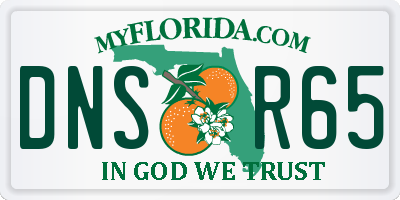 FL license plate DNSR65