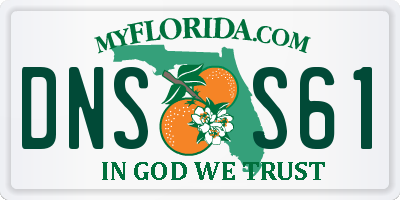 FL license plate DNSS61