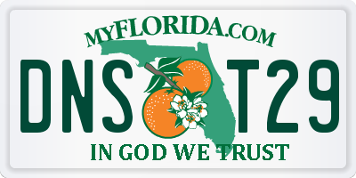 FL license plate DNST29