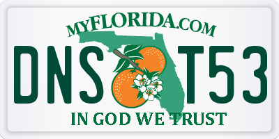 FL license plate DNST53