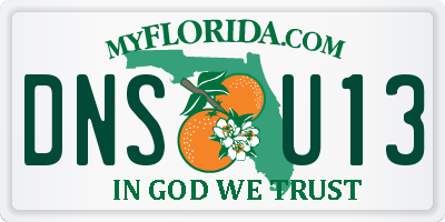 FL license plate DNSU13