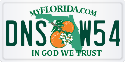FL license plate DNSW54