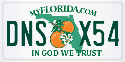 FL license plate DNSX54