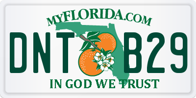 FL license plate DNTB29