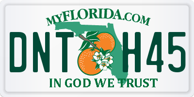 FL license plate DNTH45