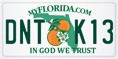FL license plate DNTK13