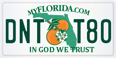 FL license plate DNTT80
