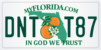 FL license plate DNTT87