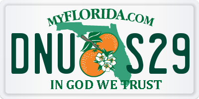 FL license plate DNUS29