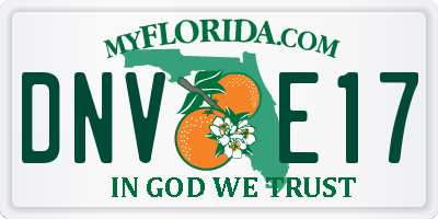 FL license plate DNVE17