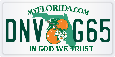 FL license plate DNVG65