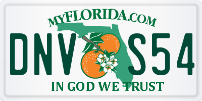 FL license plate DNVS54