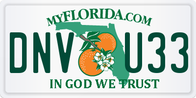 FL license plate DNVU33