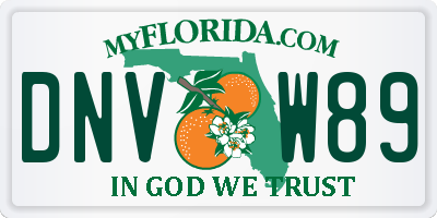 FL license plate DNVW89