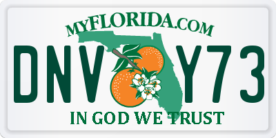 FL license plate DNVY73