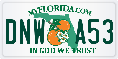 FL license plate DNWA53