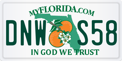 FL license plate DNWS58