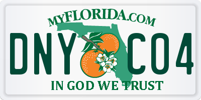 FL license plate DNYC04