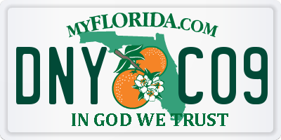 FL license plate DNYC09