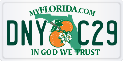 FL license plate DNYC29