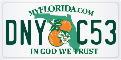 FL license plate DNYC53