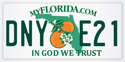 FL license plate DNYE21