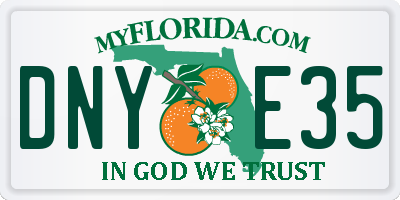 FL license plate DNYE35