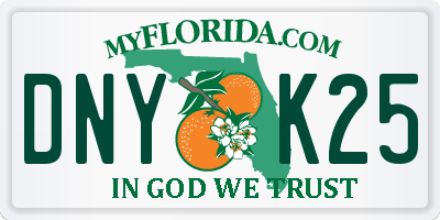 FL license plate DNYK25