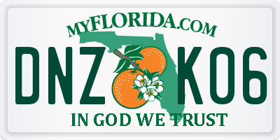 FL license plate DNZK06