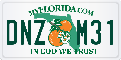 FL license plate DNZM31