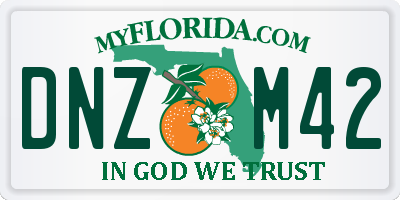 FL license plate DNZM42