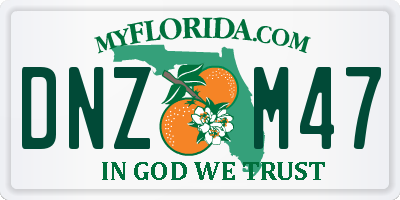 FL license plate DNZM47