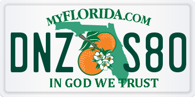 FL license plate DNZS80