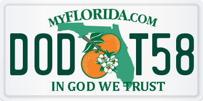 FL license plate DODT58