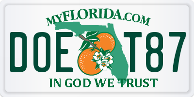 FL license plate DOET87