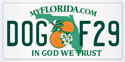 FL license plate DOGF29
