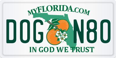 FL license plate DOGN80
