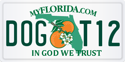 FL license plate DOGT12
